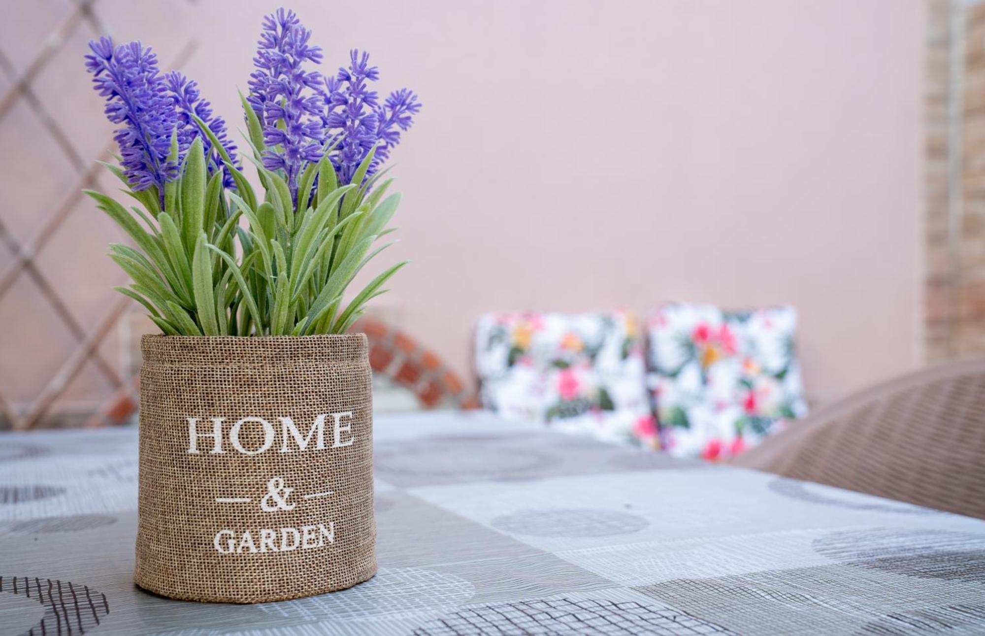 Apartmán 2k Cozy House Néoi Epivátai